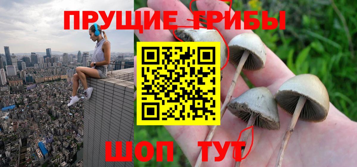 магазин  наркотиков  Вход с VPN  Кольчугино  Галлюциногенные грибы прущие грибы 